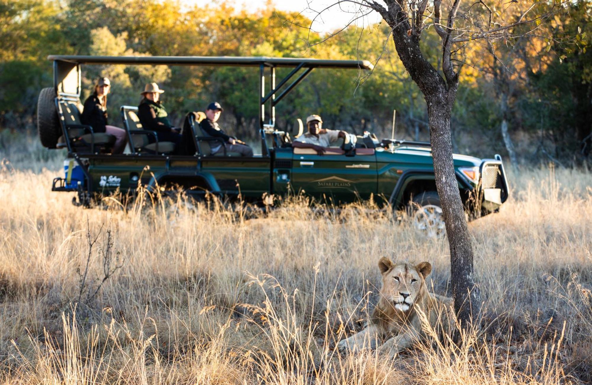 Safari Plains Villa Mabula Game Reserve Eksteriør bilde